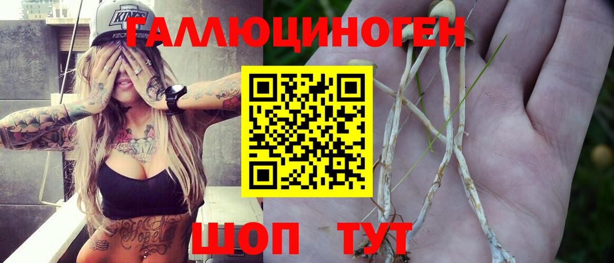 Галлюциногенные грибы Psilocybe Карталы