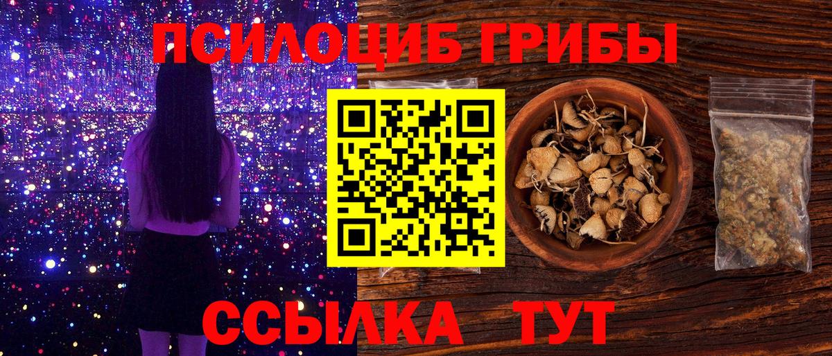 Карталы  закладки  Вход с VPN  Галлюциногенные грибы прущие грибы  Псилоцибиновые грибы мицелий 